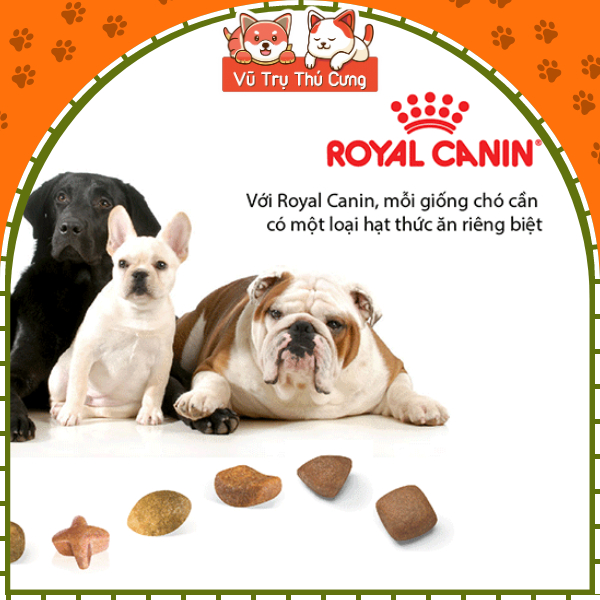 1,5Kg Thức ăn hạt Royal Canin Poodle Adult dành cho chó Poodle trưởng thành