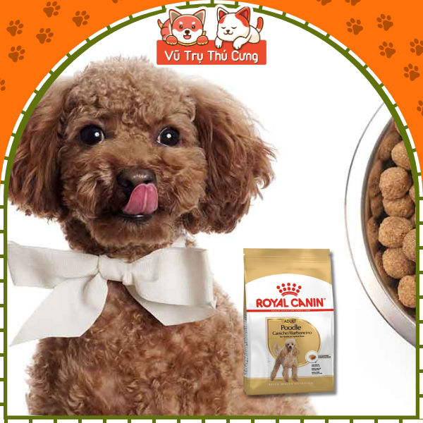 1,5Kg Thức ăn hạt Royal Canin Poodle Adult dành cho chó Poodle trưởng thành