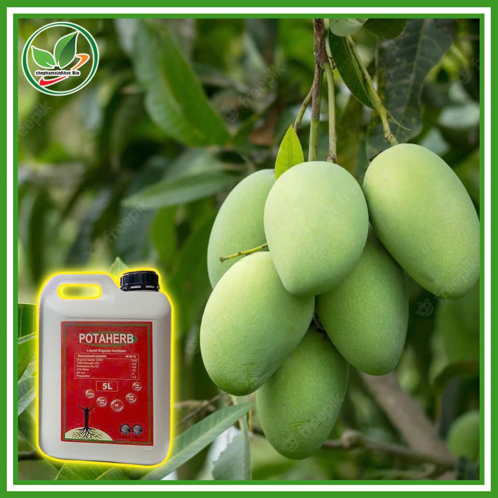Phân Bón Hữu Cơ POTAHERB NHẬP KHẨU Nguyên Đai, Nguyên Kiện, Từ THỔ NHĨ KÌ. Can 5 Lít ( TẶNG 1 NÓN )