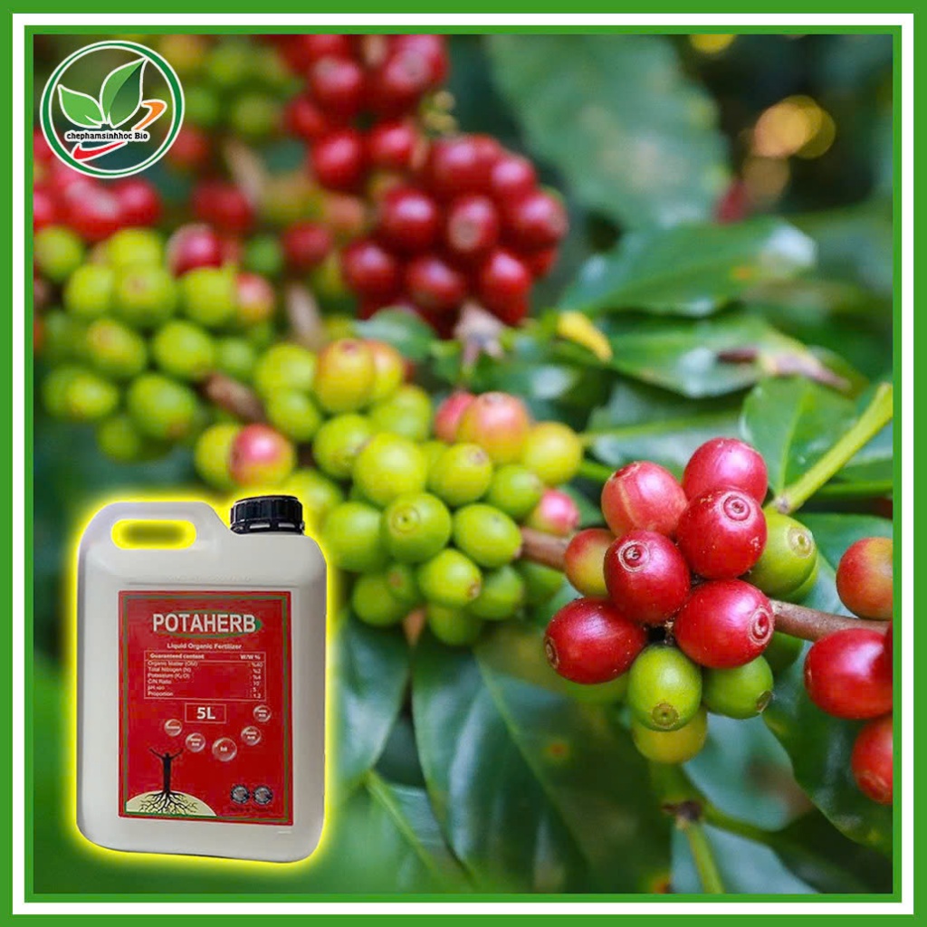 Phân Bón Hữu Cơ POTAHERB NHẬP KHẨU Nguyên Đai, Nguyên Kiện, Từ THỔ NHĨ KÌ. Can 5 Lít ( TẶNG 1 NÓN )