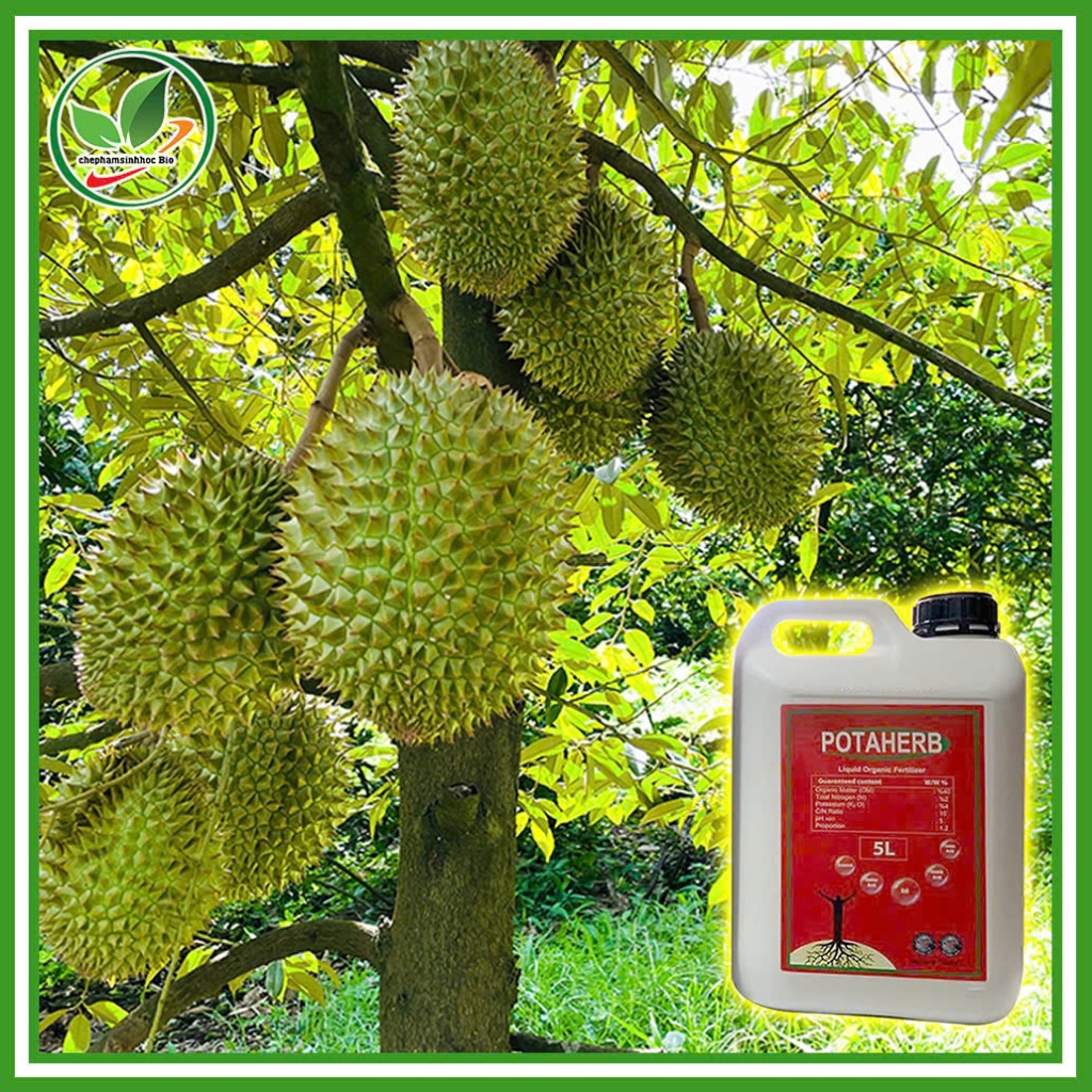 Phân Bón Hữu Cơ POTAHERB NHẬP KHẨU Nguyên Đai, Nguyên Kiện, Từ THỔ NHĨ KÌ. Can 5 Lít ( TẶNG 1 NÓN )
