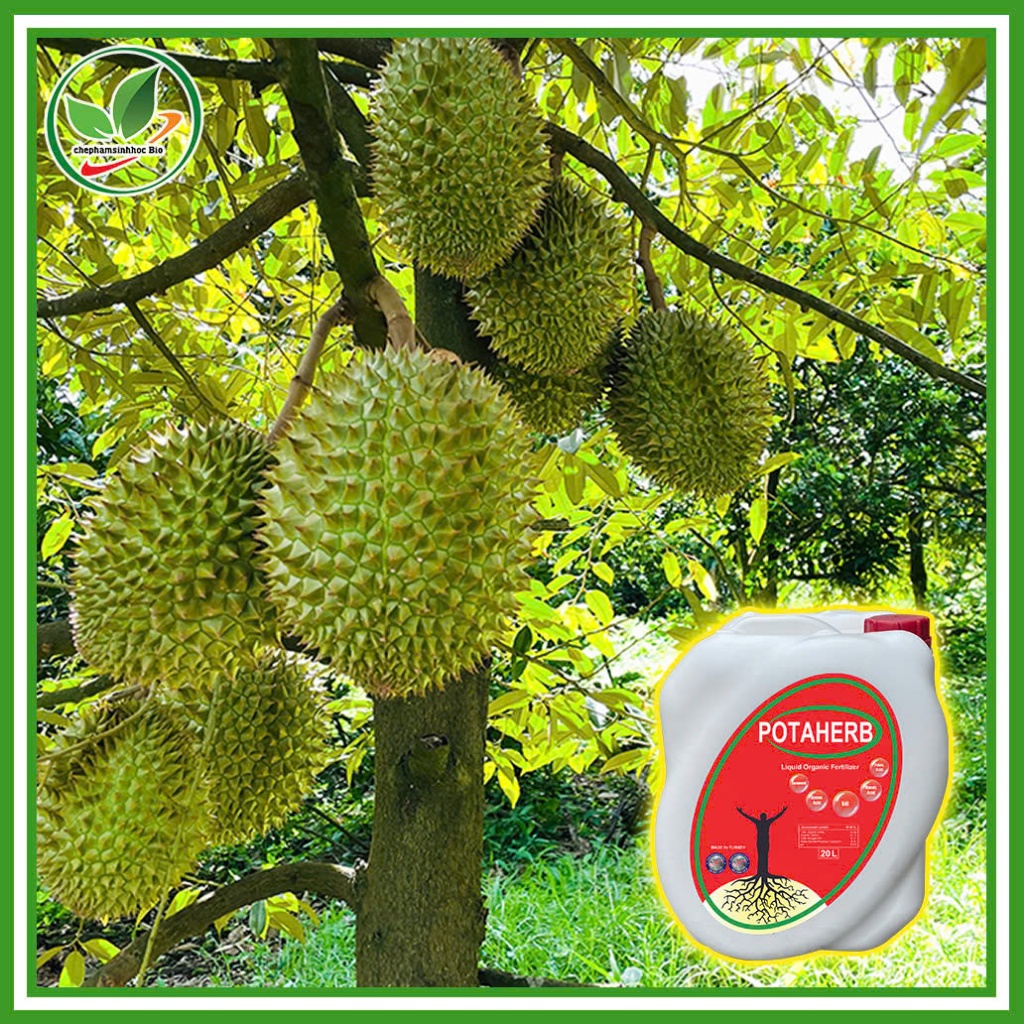 Phân Bón Hữu Cơ POTAHERB SP NHẬP KHẨU, Nguyên Kiện TỪ THỔ NHĨ KỲ. Can 20 Lít + 1 áo và 1 nón