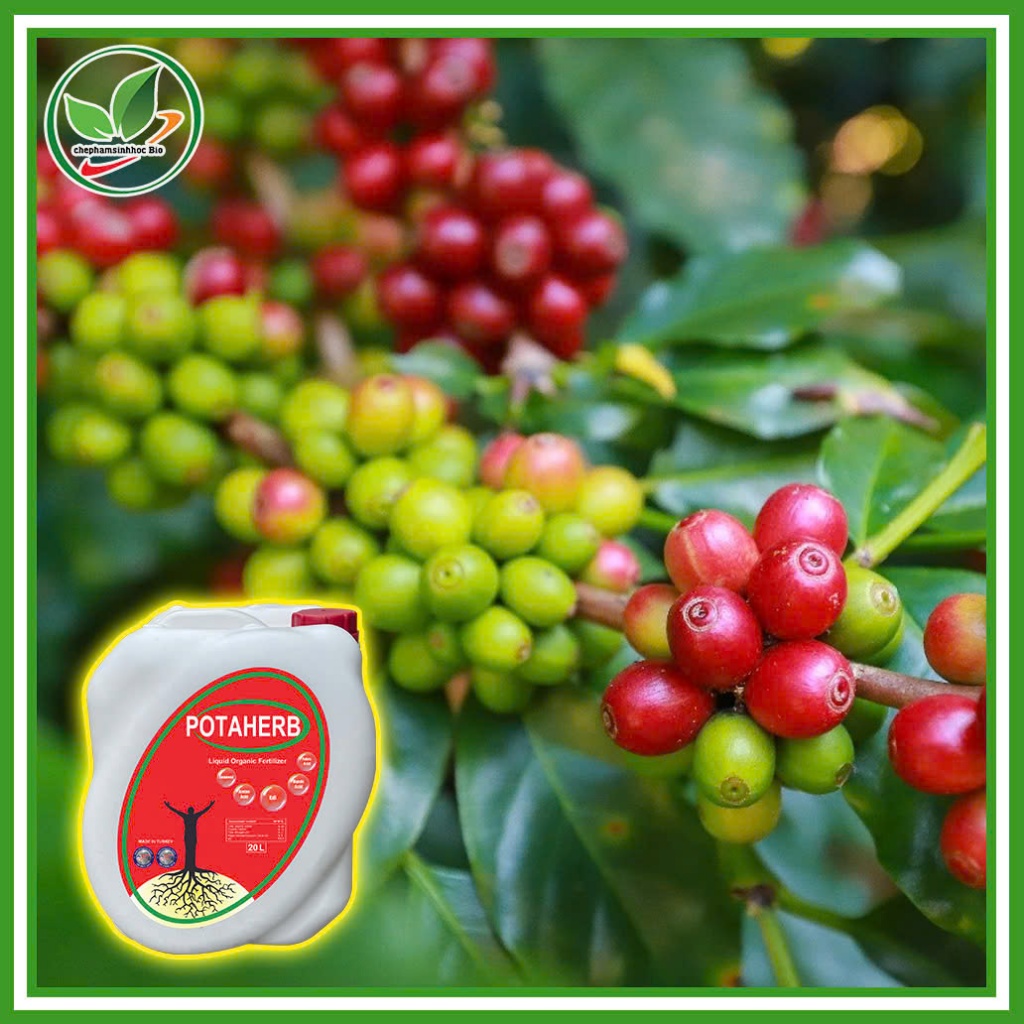 Phân Bón Hữu Cơ POTAHERB SP NHẬP KHẨU, Nguyên Kiện TỪ THỔ NHĨ KỲ. Can 20 Lít + 1 áo và 1 nón