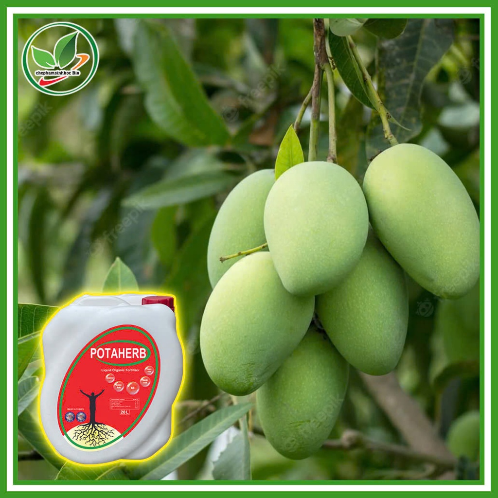 Phân Bón Hữu Cơ POTAHERB SP NHẬP KHẨU, Nguyên Kiện TỪ THỔ NHĨ KỲ. Can 20 Lít + 1 áo và 1 nón