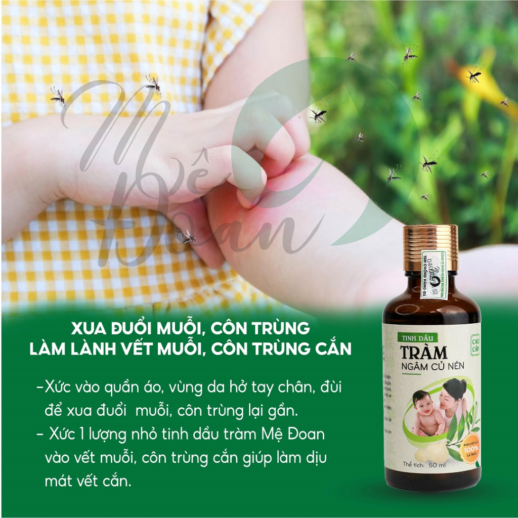 Ảnh Combo 2 chai tinh dầu tràm ngâm củ nén Mệ Đoan 50ml 4