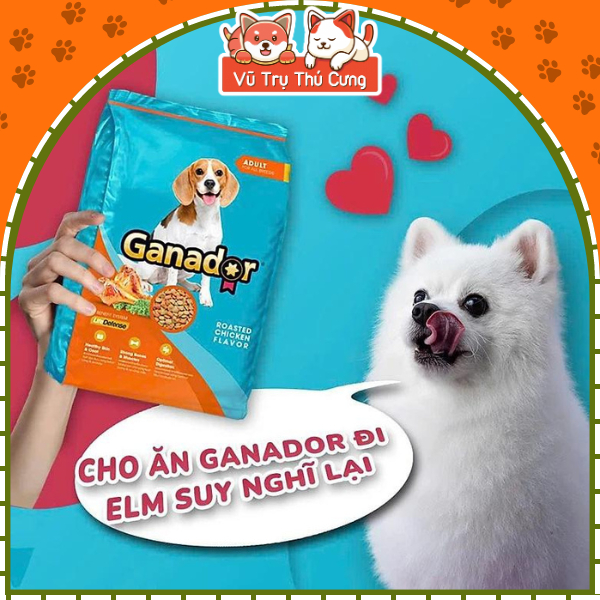 (3Kg Tặng 400g) Hạt Ganador Dành Cho Chó Trưởng Thành Vị Bò và Gà