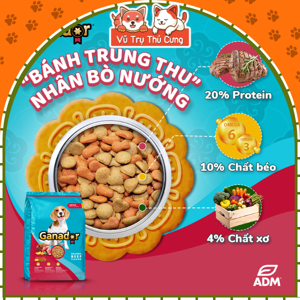 (3Kg Tặng 400g) Hạt Ganador Dành Cho Chó Trưởng Thành Vị Bò và Gà