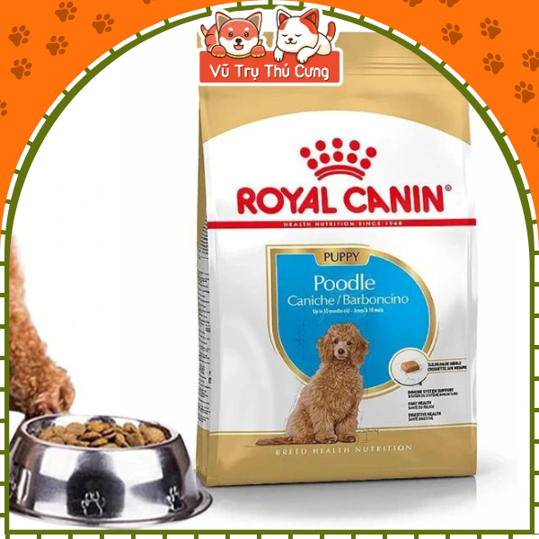 Hạt cho Chó con Royal Canin Poodle Puppy 500g