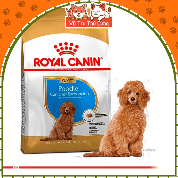 Hạt cho Chó con Royal Canin Poodle Puppy 500g