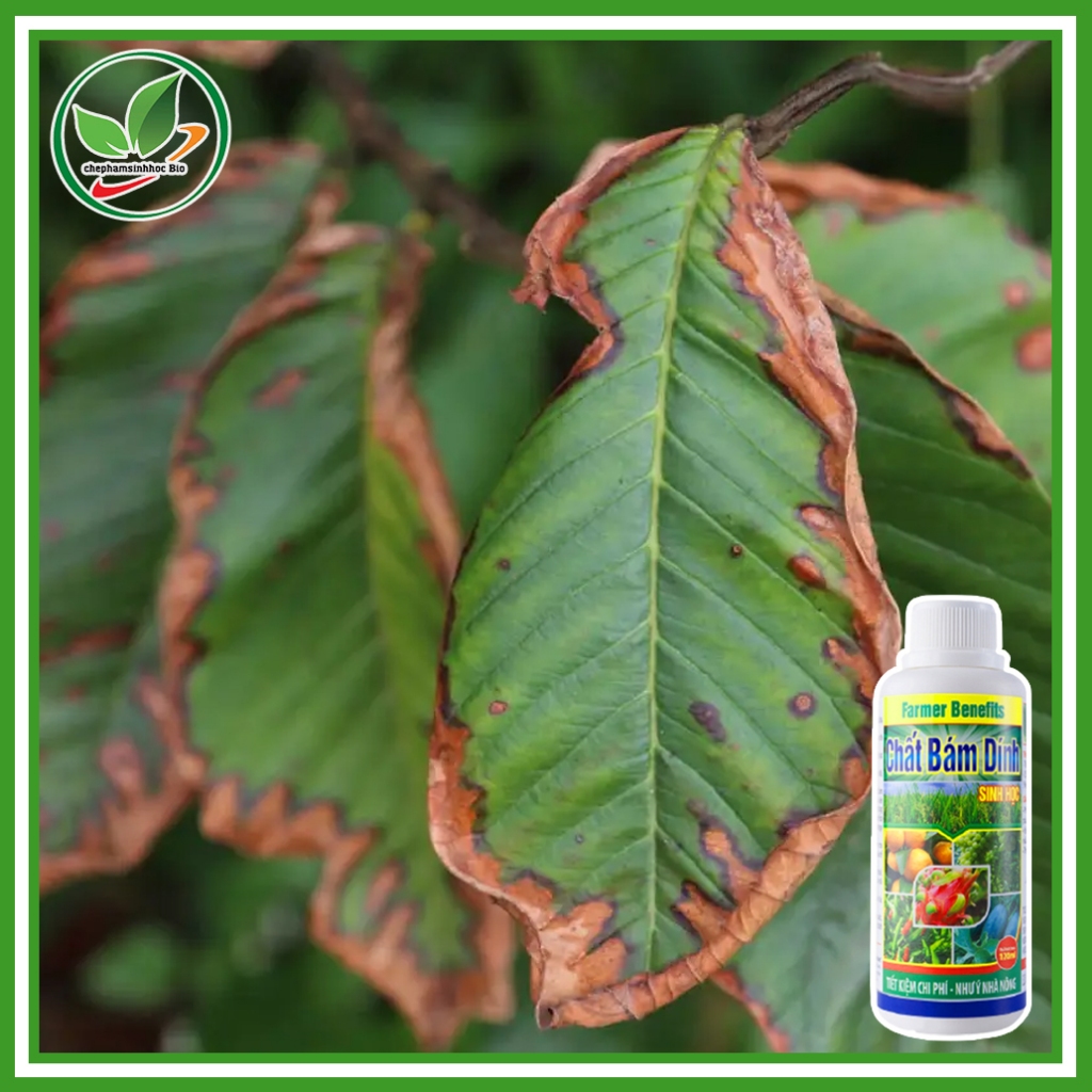 CHẤT BÁM DÍNH SINH HỌC. CHAI 120ML
