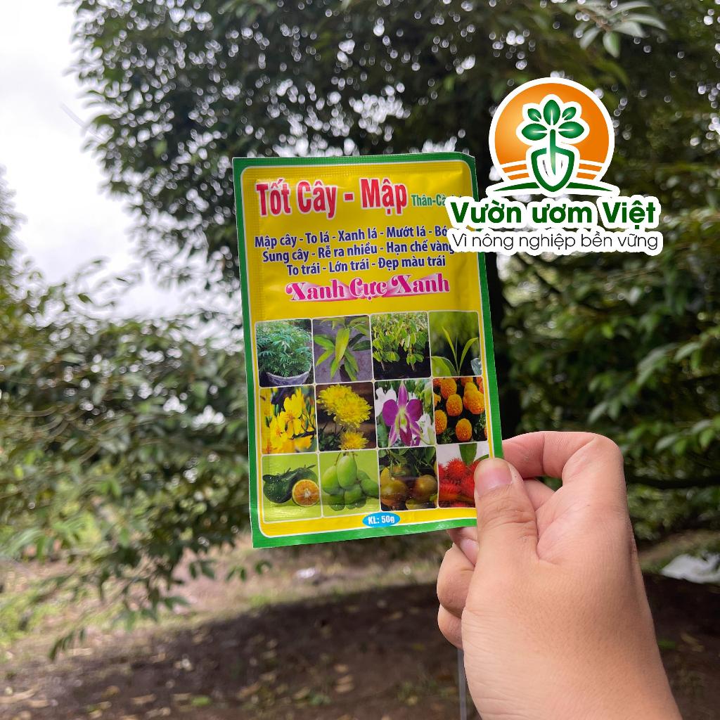 Phân bón lá TỐT CÂY - MẬP dưỡng thân lá cành mập mập, lá dày xanh tốt, chống chịu sâu bệnh khỏe