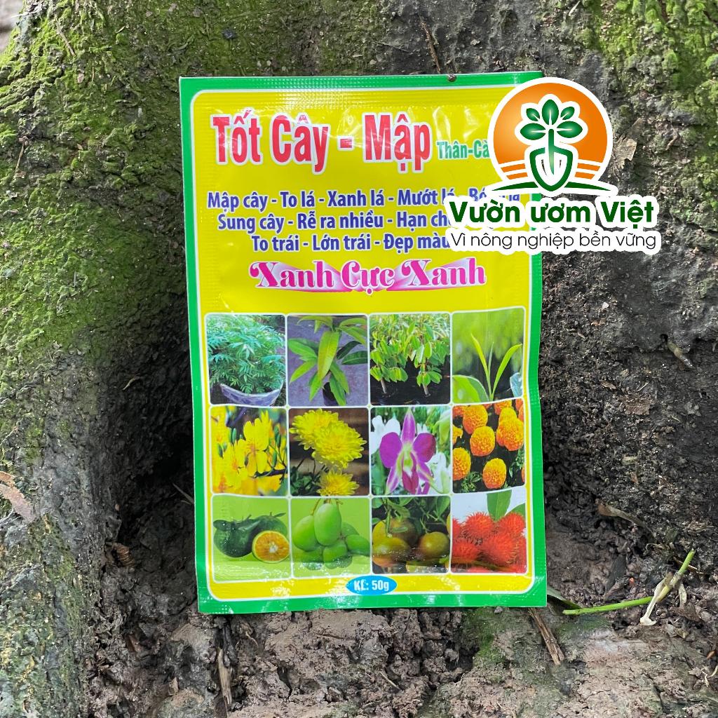 Phân bón lá TỐT CÂY - MẬP dưỡng thân lá cành mập mập, lá dày xanh tốt, chống chịu sâu bệnh khỏe