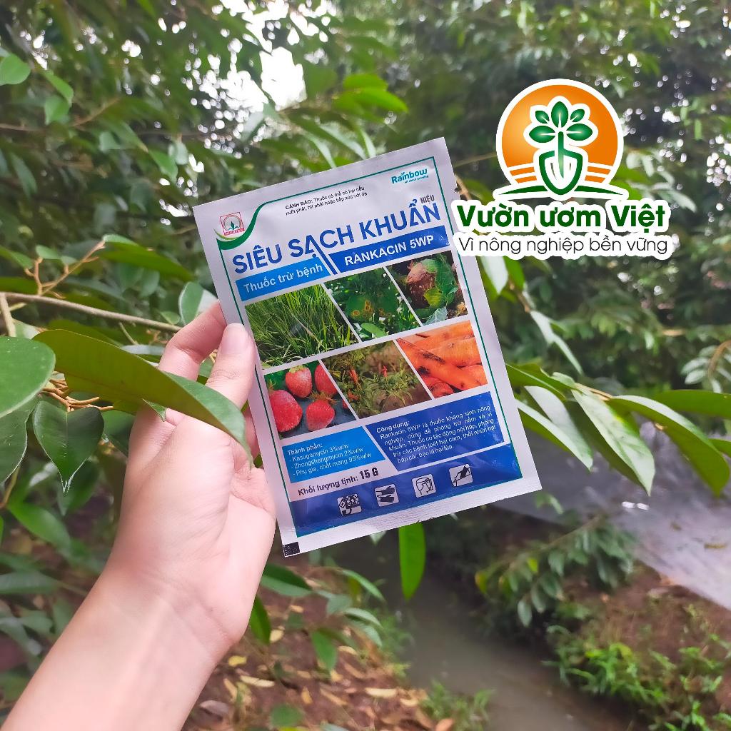 Thuốc trừ bệnh SIÊU SẠCH KHUẨN 5WP diệt vi khuẩn trị triệt để héo xanh, chết nhanh, bạc lá,... 15gr