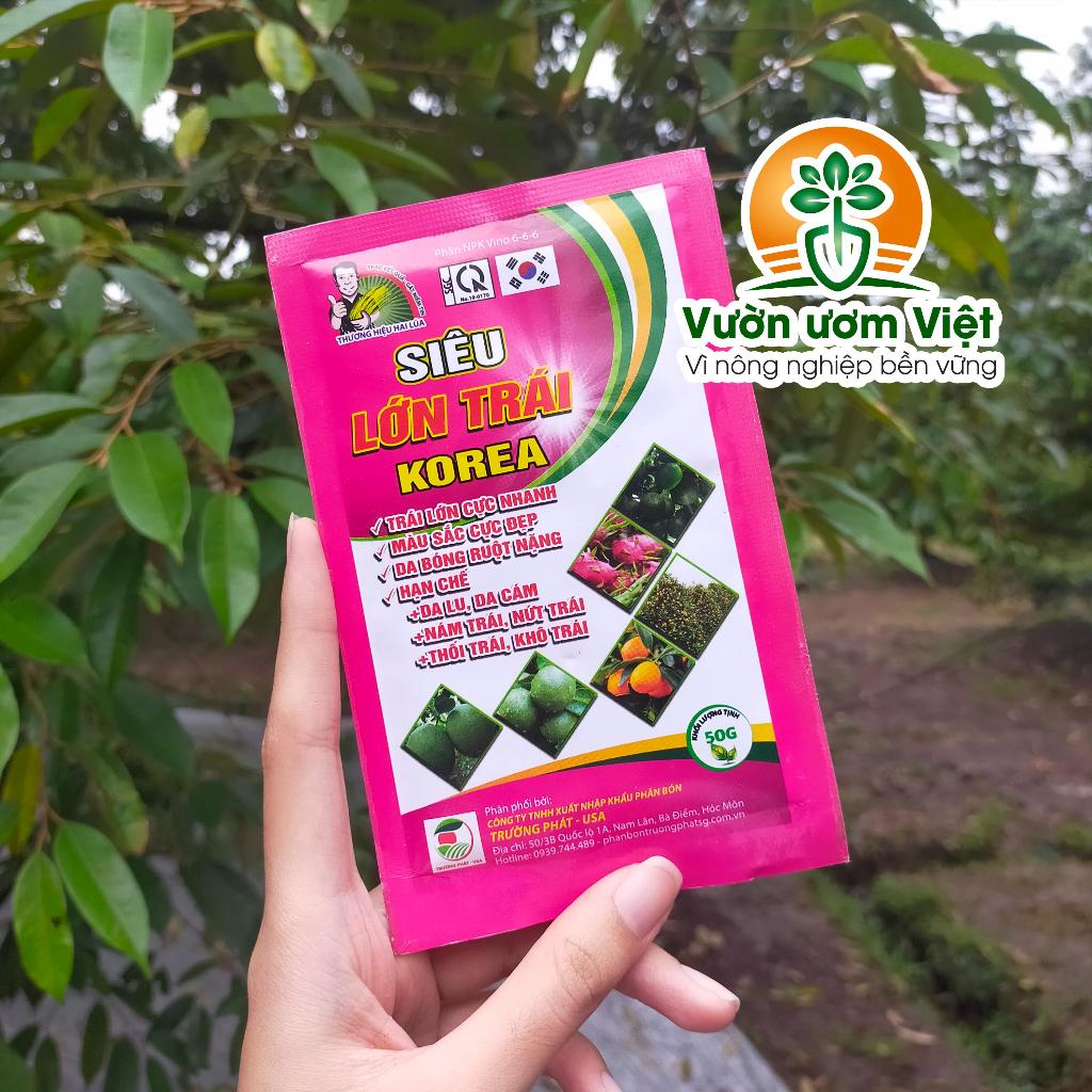 Phân bón SIÊU LƠN TRÁI KOREA chuyên dưỡng trái to, hạn chế rụng trái, ngọt quả, săn chắc cơm - 50gr