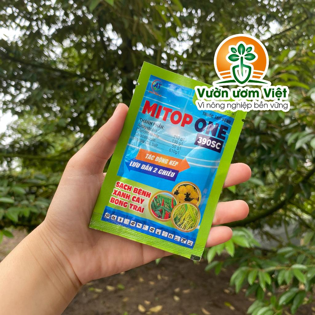Thuốc trừ nấm bệnh và vi khuẩn MITOP ONE 390SC bảo vệ cây trồng mạnh mẽ - 15ml