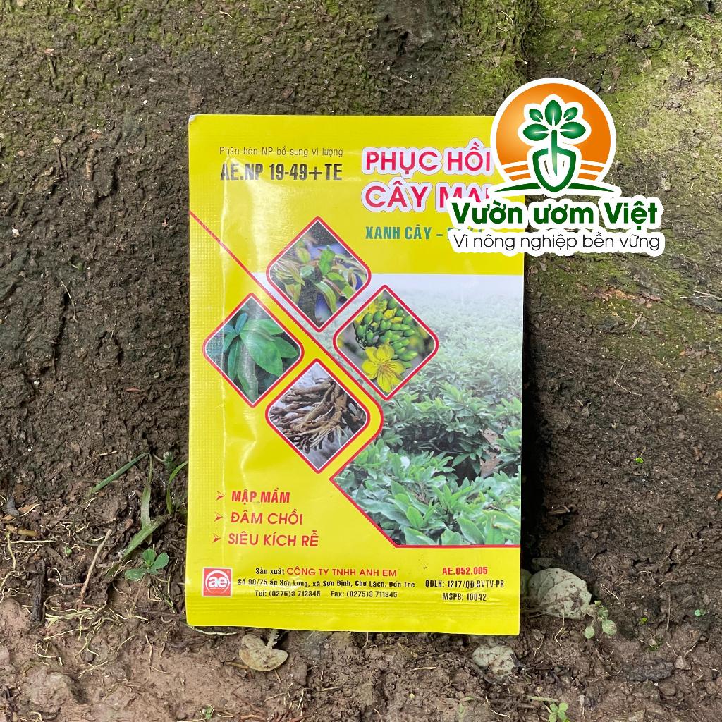 Phân bón PHỤC HỒI CÂY MAI dưỡng cây sau bị sâu bệnh, phục hồi sau khi ra hoa, sang chiết chậu