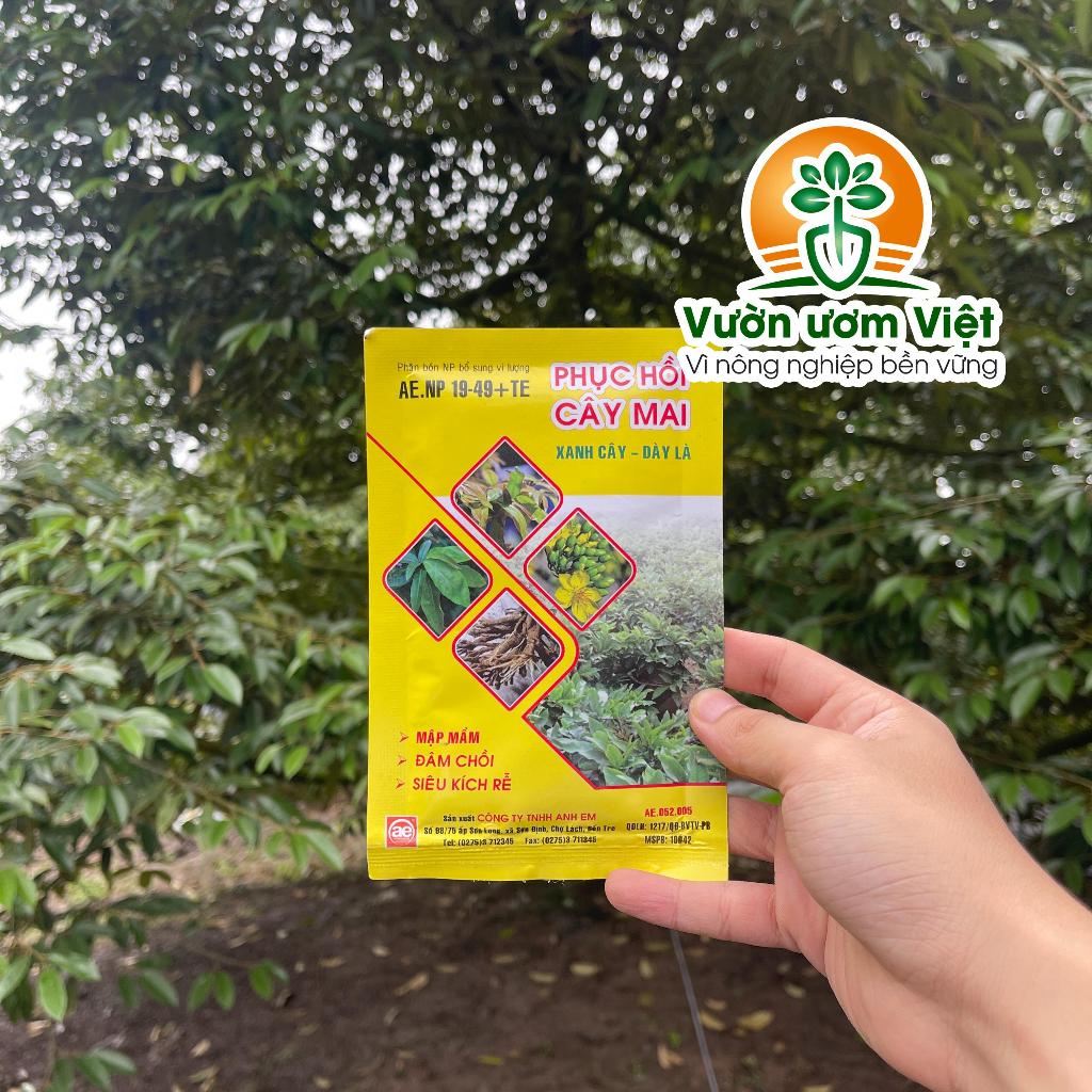 Phân bón PHỤC HỒI CÂY MAI dưỡng cây sau bị sâu bệnh, phục hồi sau khi ra hoa, sang chiết chậu