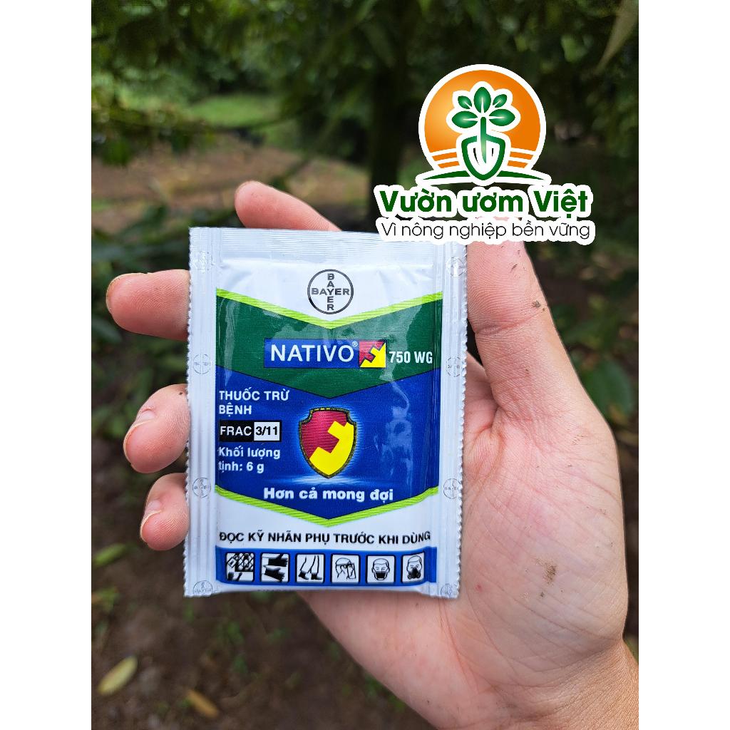 Thuốc trừ bệnh cây trồng Nativo 750WG chính hãng Bayer - 6gr