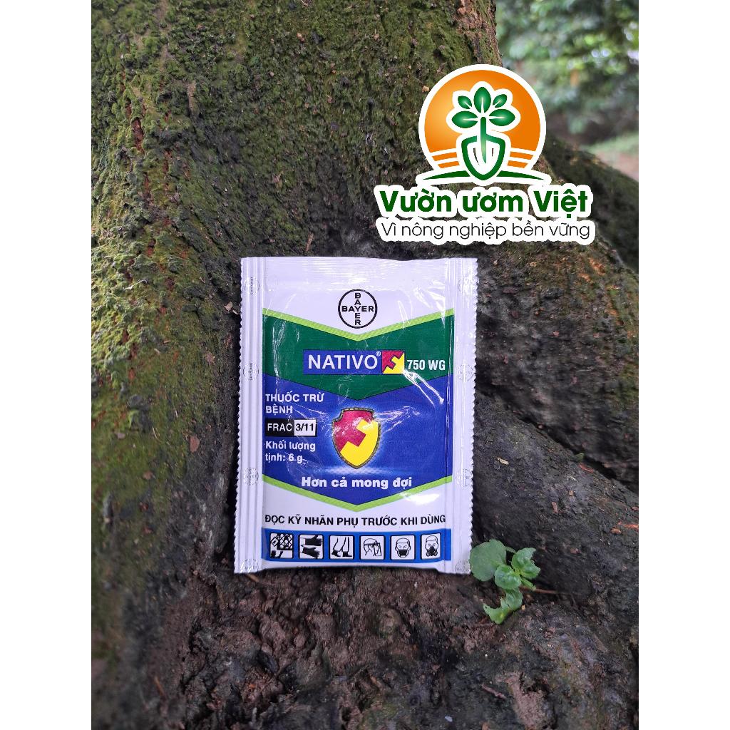 Thuốc trừ bệnh cây trồng Nativo 750WG chính hãng Bayer - 6gr