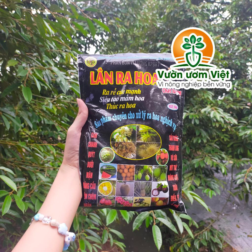 Phân bón LÂN RA HOA chuyên tạo mầm hoa, kích ra hoa, dưỡng hoa đẹp, khỏe, hạn chế rụng hoa - 1kg