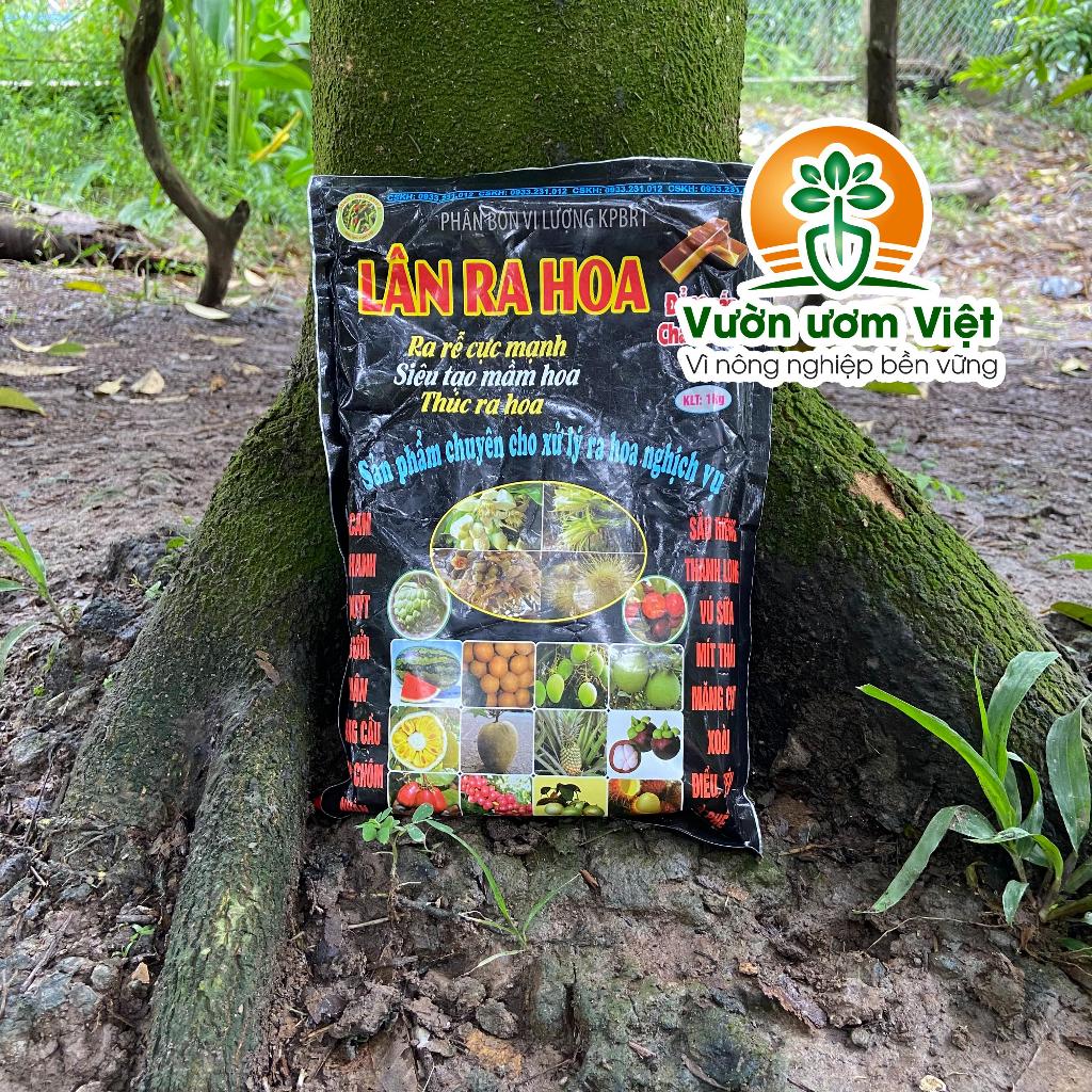 Phân bón LÂN RA HOA chuyên tạo mầm hoa, kích ra hoa, dưỡng hoa đẹp, khỏe, hạn chế rụng hoa - 1kg