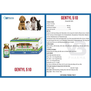 Thuốc thú y Gentyl 510 Vb Pharma trị viêm phổi viêm ruột trên chó mèo gà đá chim cảnh gia súc giacầm