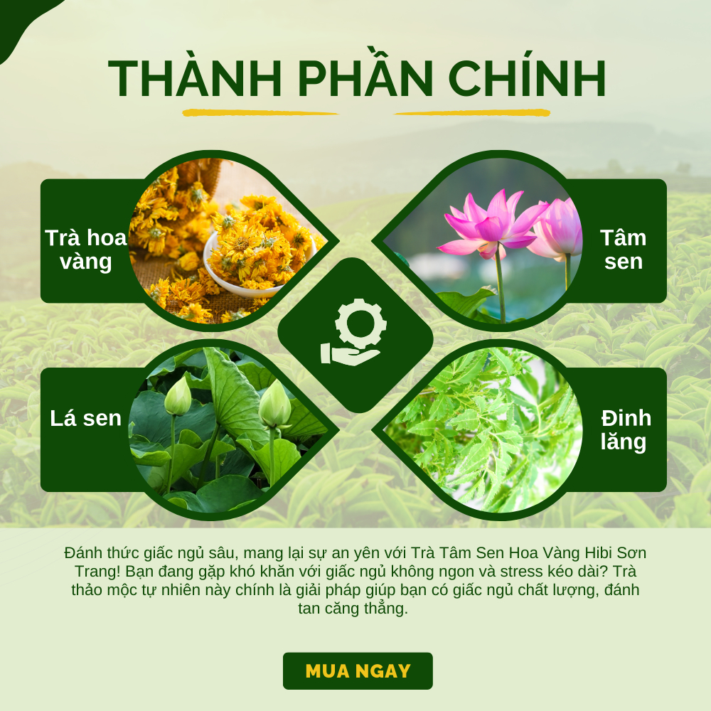 Thiết Kế Của Trà Thảo Mộcân Bằng Nội Tiết Hỗ Trợ Ngủ Ngon