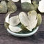 Thanh bì 100g, vỏ quýt, chanh xanh khô, thơm - Tiệm Lãn Ông