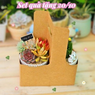 Set quà tặng người thương sen đá và xương rồng xinh yêu thích hợp làm quà tặng và sự kiện Mầm Nắng Garden  lỗi 1 đền 1