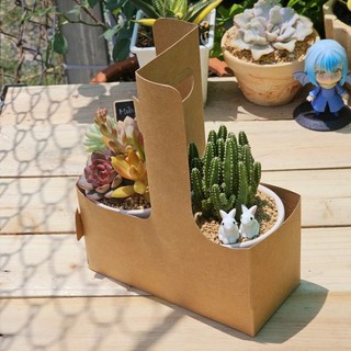 Set quà tặng người thương sen đá và xương rồng xinh yêu thích hợp làm quà tặng và sự kiện Mầm Nắng Garden  lỗi 1 đền 1