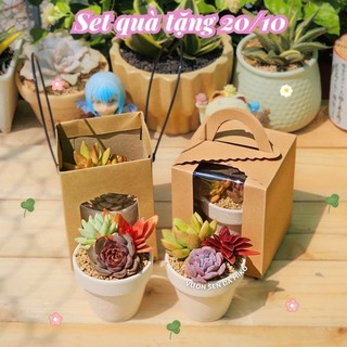 Set quà tặng sen đá mix 7cm được trồng sẵn thích hợp làm quà tặng, sự kiện Mầm Nắng Garden lỗi 1 đền 1