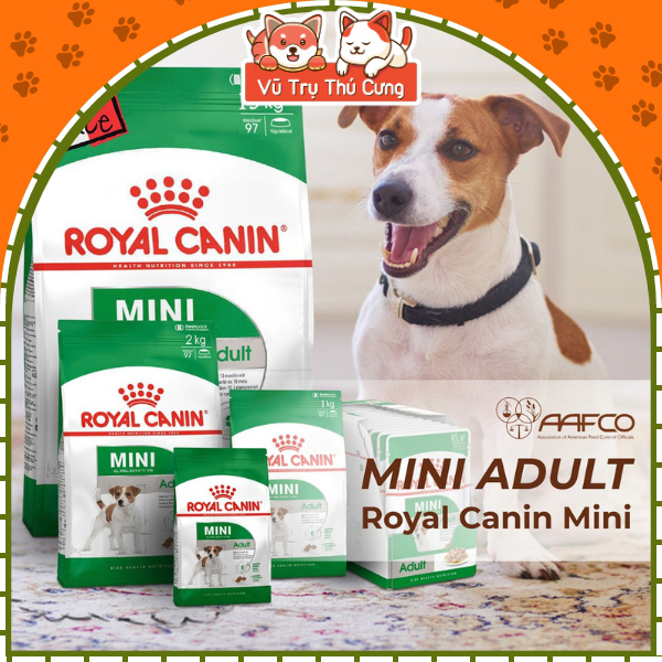 Hạt cho chó trưởng thành Royal Canin Mini Adult