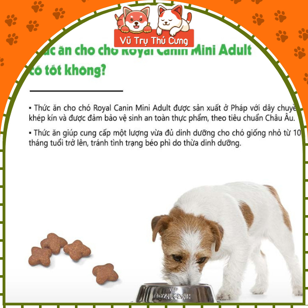 Hạt cho chó trưởng thành Royal Canin Mini Adult