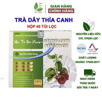 Hộp 40 gói trà dây thìa canh Bảo Khang, trà túi lọc dây thìa canh, thìa canh khô