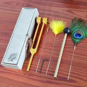 DỤNG CỤ BỘ GÕ LÔNG CÔNG FULL HỘP THƯ GIÃN DƯỠNG SINH TRUNG HOA