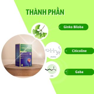 Combo 05 Hộp Bổ Não Biophar Ginkgo Biloba Q10-GABA, Viên Uống Bổ Não, Tuần Hoàn Não Hộp 60 Viên