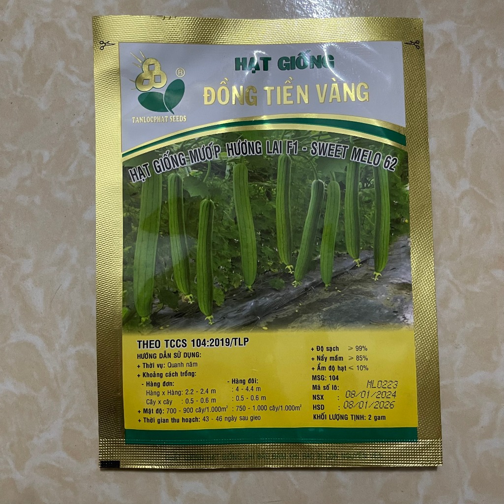HẠT GIỐNG MƯỚP HƯƠNG SAI TRÁI, DỄ TRỒNG