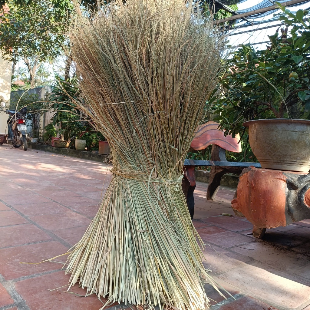 Rơm khô, Rơm Nếp khô sạch làm trang trí, decor , đốt làm tro đảm bảo ...