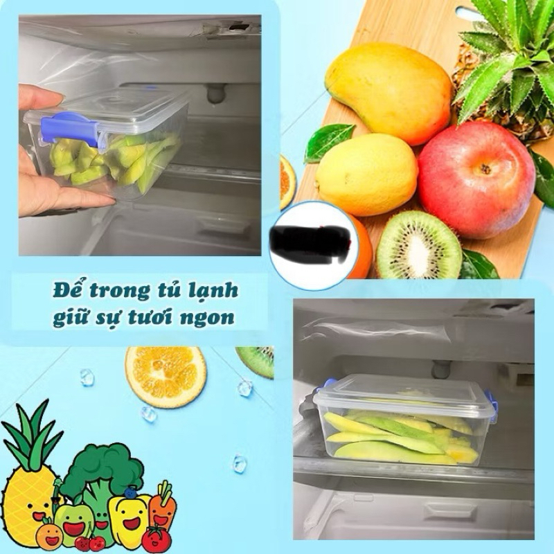 Bộ 3 hộp đựng thực phẩm lạnh, Hộp đựng thực phẩm ngăn ngừa vi khuẩn Chính Hãng VIỆT NHẬT (Mã 6695)