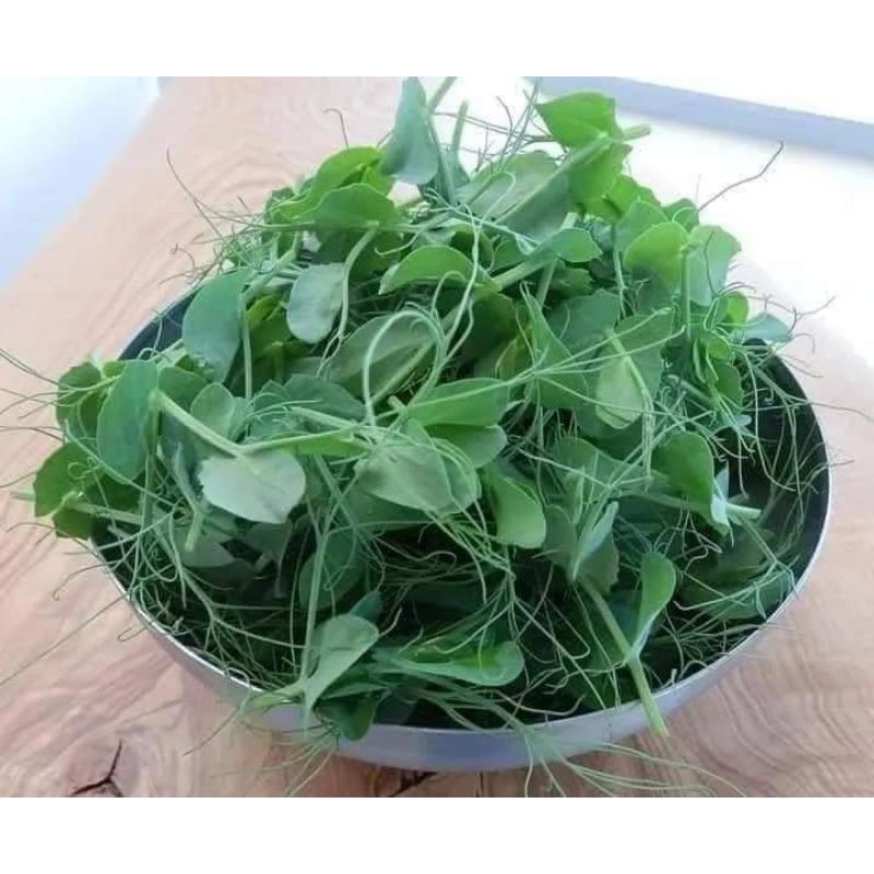 Hạt Giống Đậu Hà Lan Ăn Ngọn Và Lá💥 Ăn Cực Ngon, Rất Năng Suất