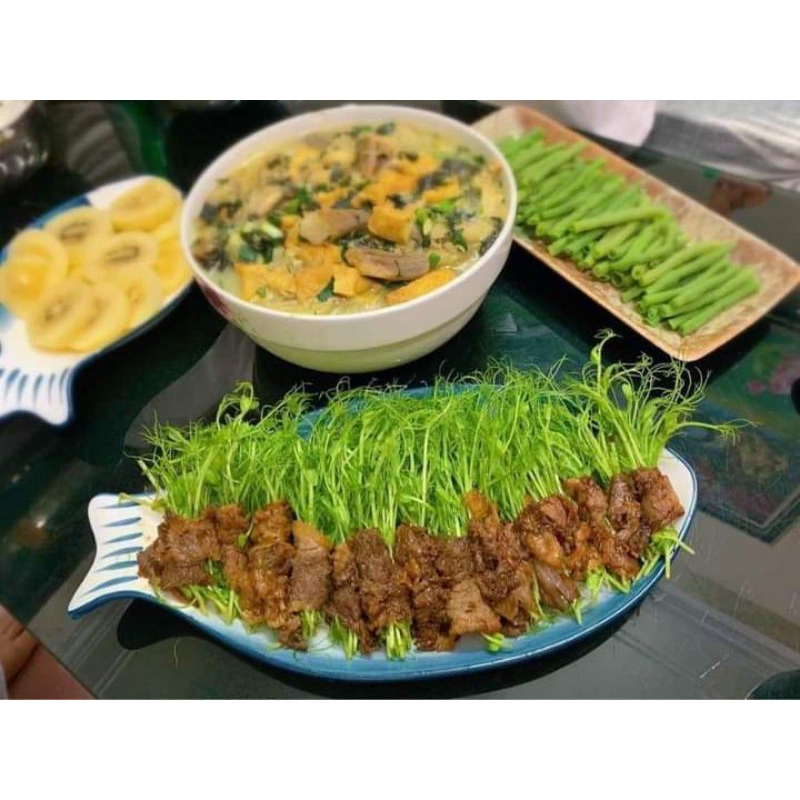 Hạt Giống Đậu Hà Lan Ăn Ngọn Và Lá💥 Ăn Cực Ngon, Rất Năng Suất
