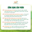 Combo 8 chai KAGREEN phân bón sinh học Ka Green Kích rễ, bung đọt, mập cành, dày lá