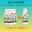 4 chai KA GREEN - Phân bón sinh học KAGREEN bung đọt, mập cành, xanh lá, kích rễ