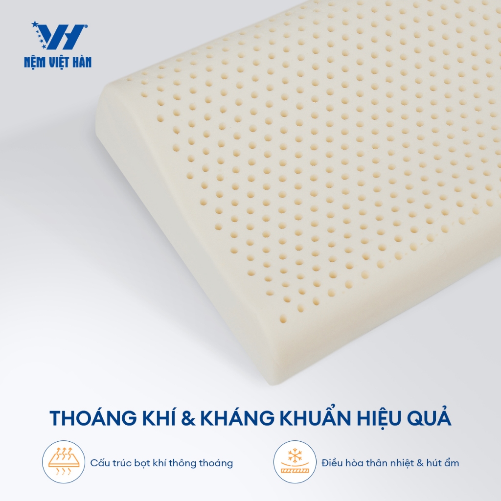 Ảnh Gối nằm cao su thiên nhiên Việt Hàn - Thiết Kế Lượn Sóng, Êm Ái, Thoáng Khí 3