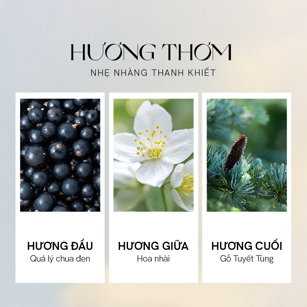 Ảnh Nước Hoa Nữ De Memoria Tươi Mát,  Hoa Thơm Đẫm Sương (30ml) - Val De Loire 02 BST Ký Ức Đầu Tiên 3
