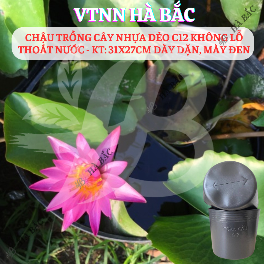 [5 cái] Chậu Trồng Cây Nhựa Dẻo C12 Không Lỗ Thoát Nước - KT: 31x27cm dày dặn, mày đen, độ bền cao - Nông Nghiệp Hà Bắc