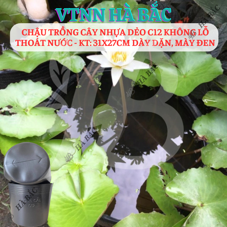 [5 cái] Chậu Trồng Cây Nhựa Dẻo C12 Không Lỗ Thoát Nước - KT: 31x27cm dày dặn, mày đen, độ bền cao - Nông Nghiệp Hà Bắc
