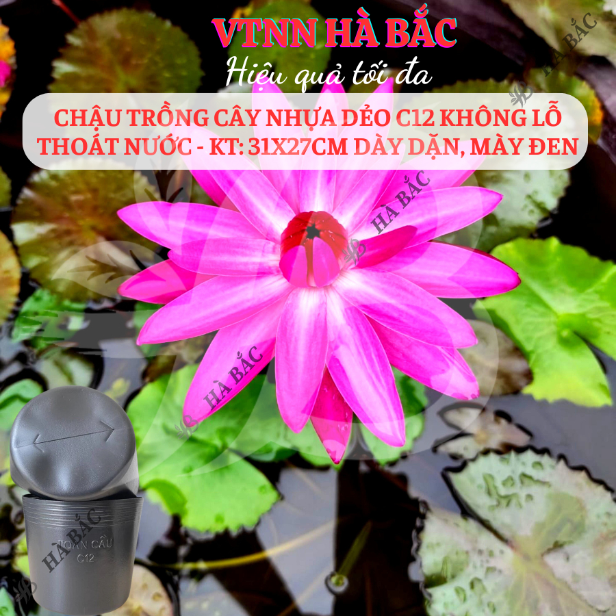 [5 cái] Chậu Trồng Cây Nhựa Dẻo C12 Không Lỗ Thoát Nước - KT: 31x27cm dày dặn, mày đen, độ bền cao - Nông Nghiệp Hà Bắc