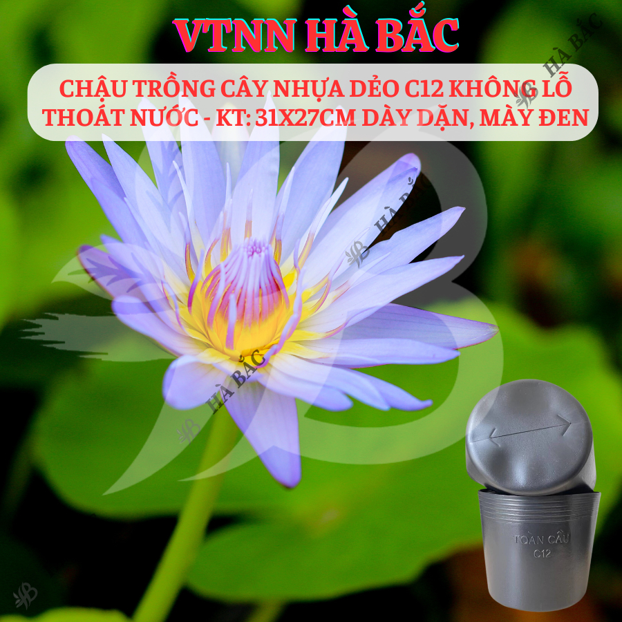 [5 cái] Chậu Trồng Cây Nhựa Dẻo C12 Không Lỗ Thoát Nước - KT: 31x27cm dày dặn, mày đen, độ bền cao - Nông Nghiệp Hà Bắc