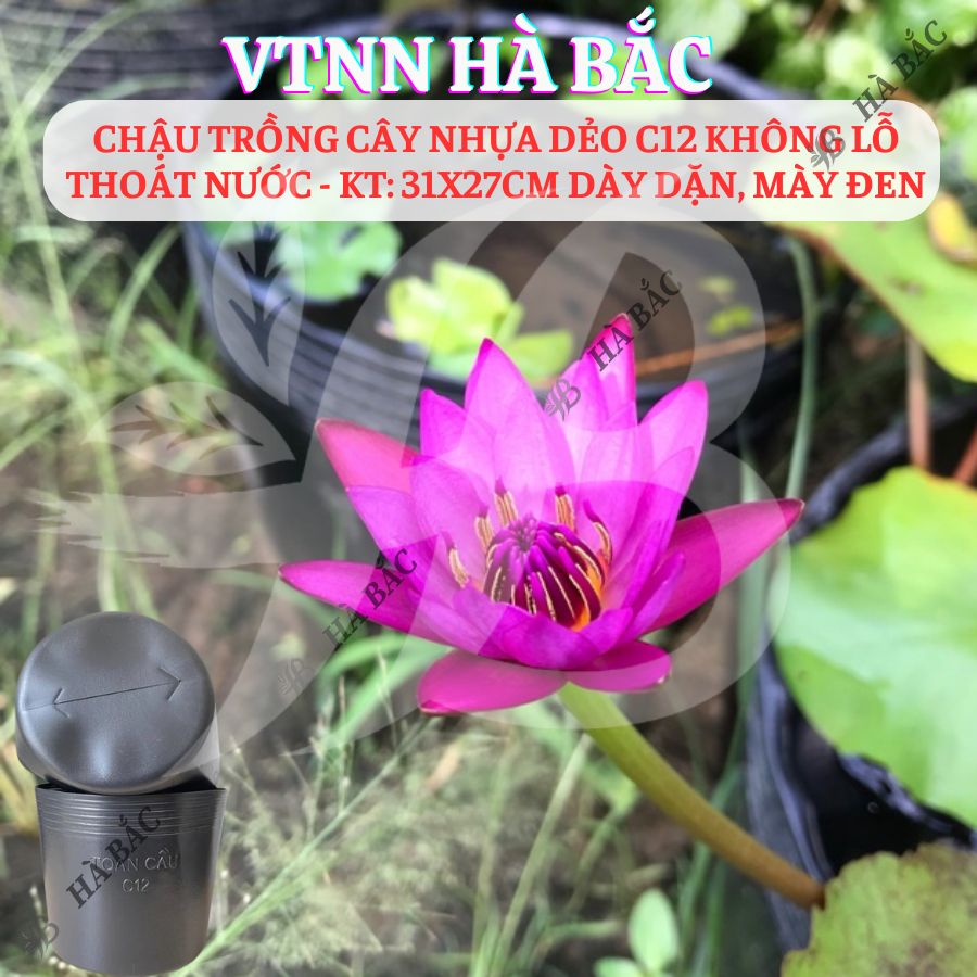 [5 cái] Chậu Trồng Cây Nhựa Dẻo C12 Không Lỗ Thoát Nước - KT: 31x27cm dày dặn, mày đen, độ bền cao - Nông Nghiệp Hà Bắc
